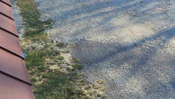 Nástup na běžecké tratě