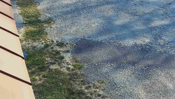 Nástup na běžecké tratě