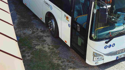 Nástup na běžecké tratě