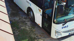 Nástup na běžecké tratě