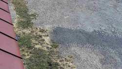 Nástup na běžecké tratě