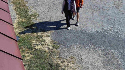 Nástup na běžecké tratě