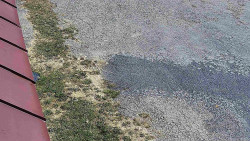 Nástup na běžecké tratě