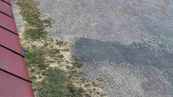 Nástup na běžecké tratě