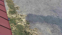 Nástup na běžecké tratě