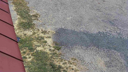 Nástup na běžecké tratě