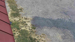 Nástup na běžecké tratě