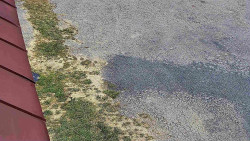 Nástup na běžecké tratě