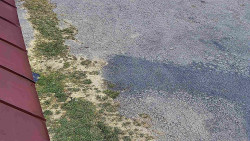 Nástup na běžecké tratě