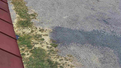 Nástup na běžecké tratě