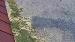 Nástup na běžecké tratě