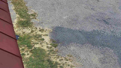 Nástup na běžecké tratě