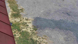 Nástup na běžecké tratě