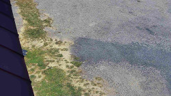 Nástup na běžecké tratě