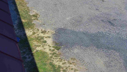 Nástup na běžecké tratě