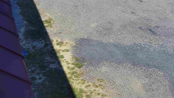 Nástup na běžecké tratě