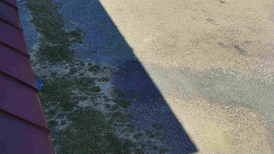 Nástup na běžecké tratě