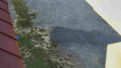 Nástup na běžecké tratě