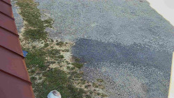 Nástup na běžecké tratě