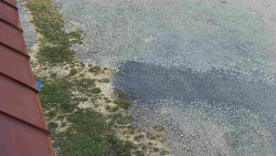 Nástup na běžecké tratě