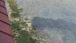 Nástup na běžecké tratě