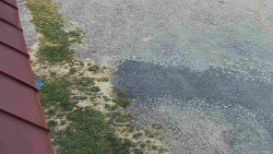 Nástup na běžecké tratě