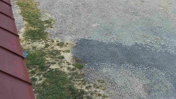 Nástup na běžecké tratě