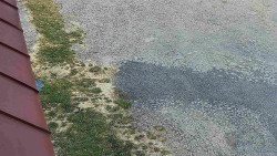 Nástup na běžecké tratě