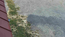 Nástup na běžecké tratě