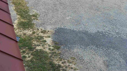 Nástup na běžecké tratě