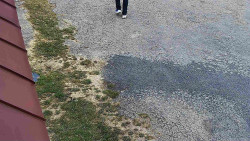 Nástup na běžecké tratě