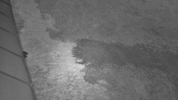 Nástup na běžecké tratě