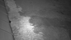 Nástup na běžecké tratě