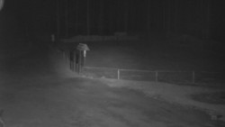 Nástup na běžecké tratě