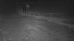 Nástup na běžecké tratě