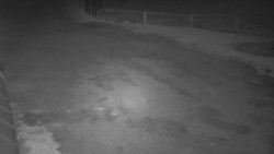 Nástup na běžecké tratě