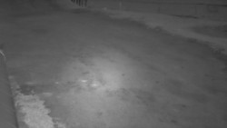 Nástup na běžecké tratě