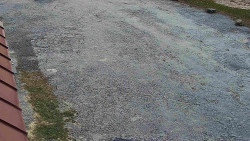 Nástup na běžecké tratě