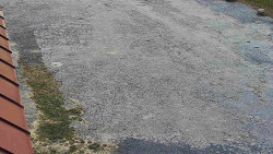 Nástup na běžecké tratě