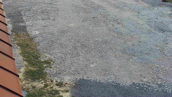 Nástup na běžecké tratě