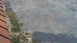 Nástup na běžecké tratě