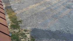 Nástup na běžecké tratě