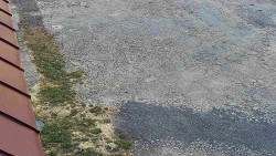 Nástup na běžecké tratě