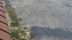 Nástup na běžecké tratě