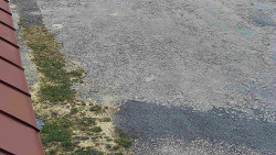 Nástup na běžecké tratě