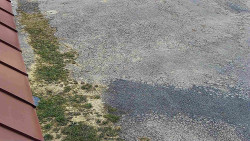 Nástup na běžecké tratě