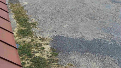 Nástup na běžecké tratě