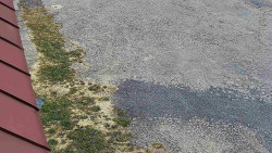 Nástup na běžecké tratě