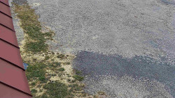 Nástup na běžecké tratě