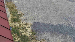 Nástup na běžecké tratě